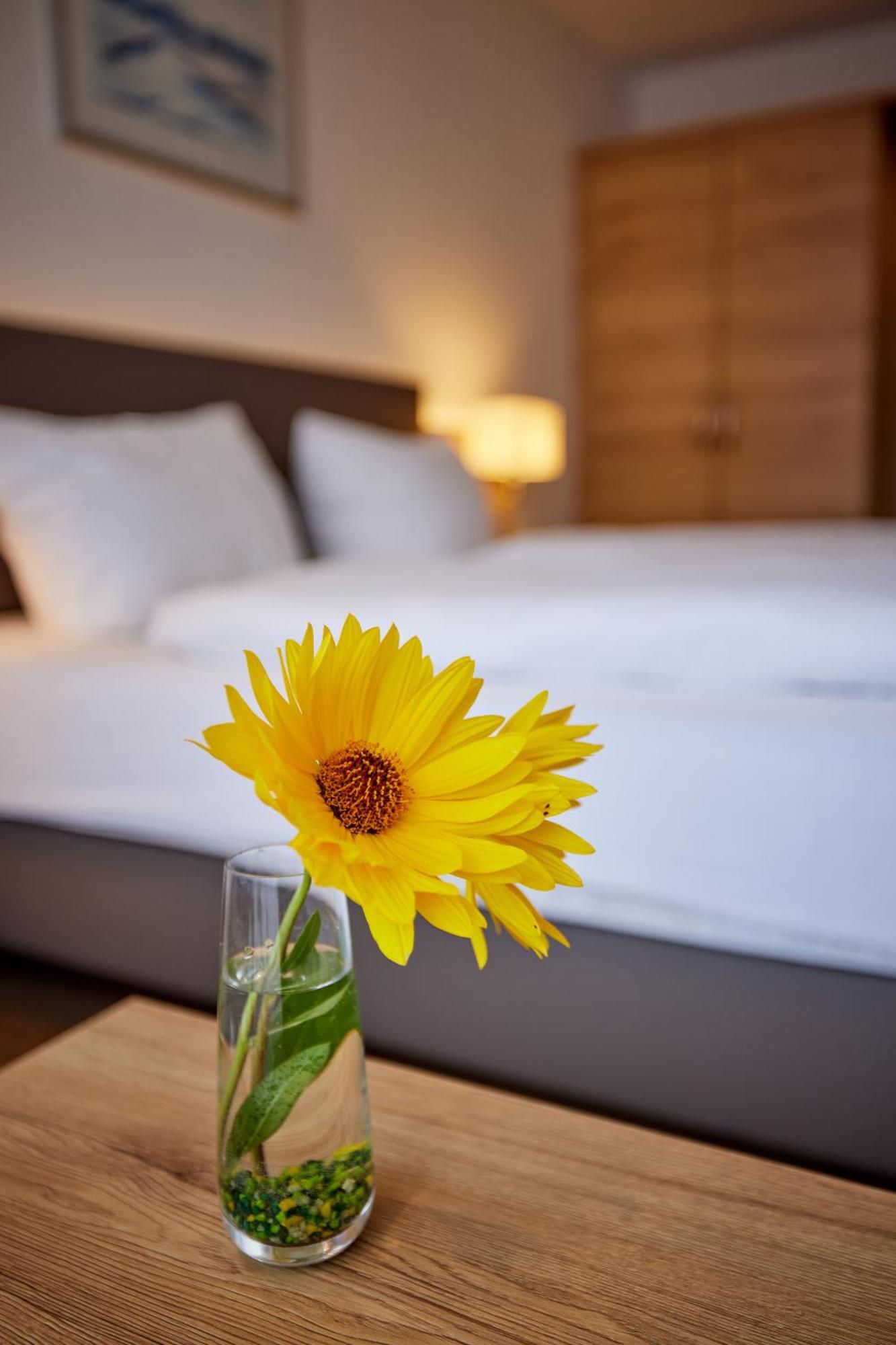 Hotel Restaurant Stegemann Saerbeck Екстер'єр фото